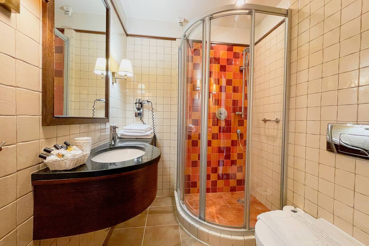 deluxe twin room | bathroom | shower, free toiletries, hair dryer, towels