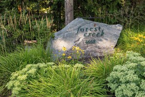 Ein mit 'Wald bach 4668' beschrifteter Stein, umgeben von Grünpflanzen und Wildblumen.