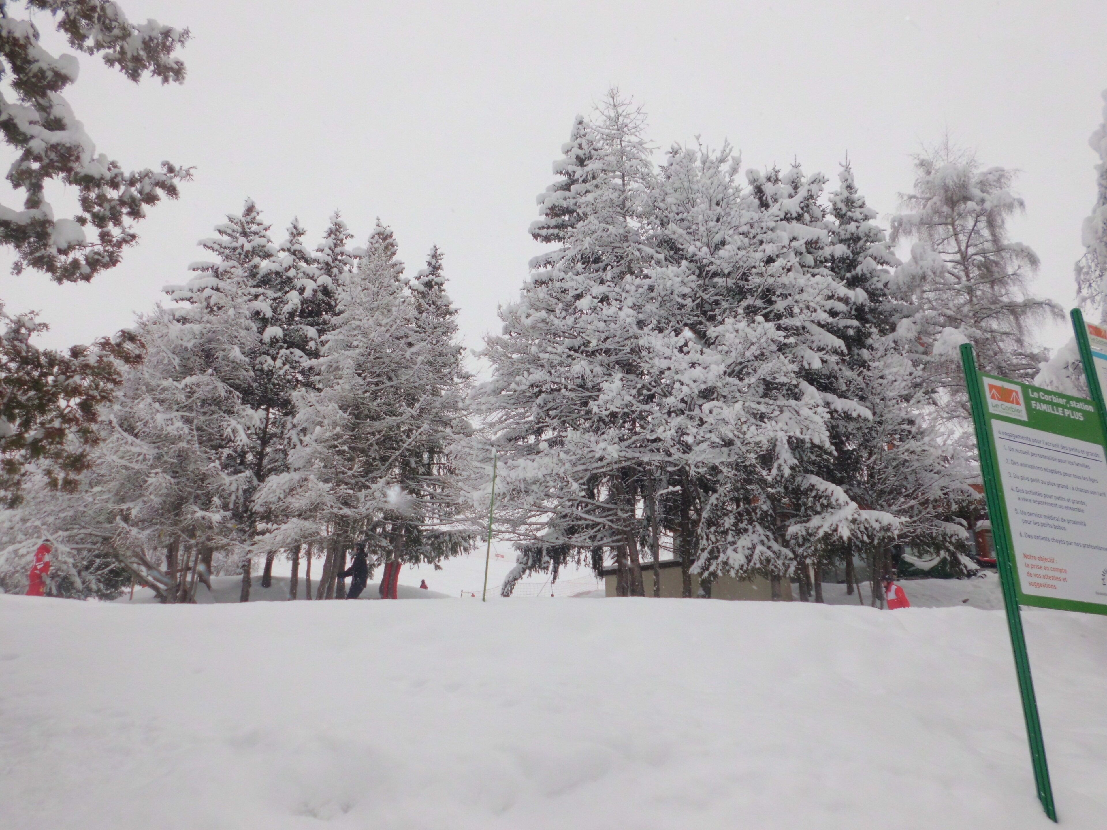 Een besneeuwde omgeving buiten met bomen en een bord.