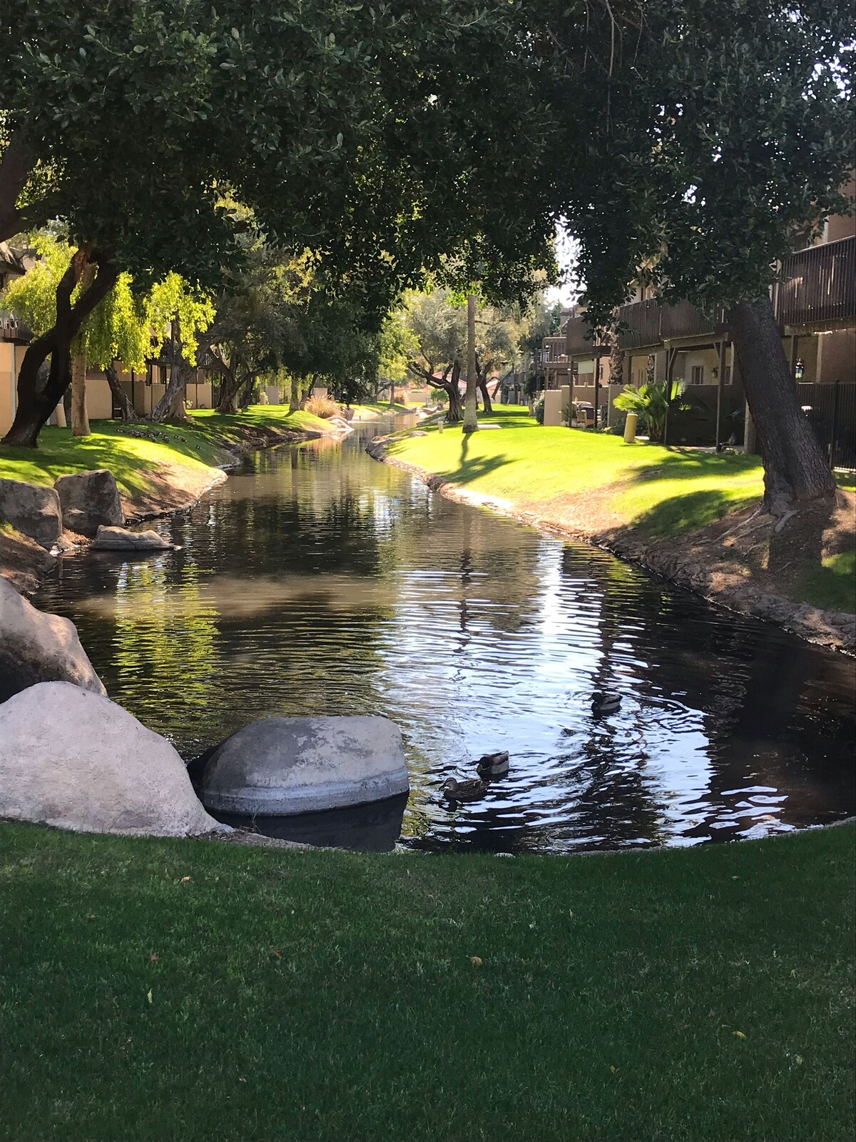 Imagen de perfil del propietario o de la propietaria