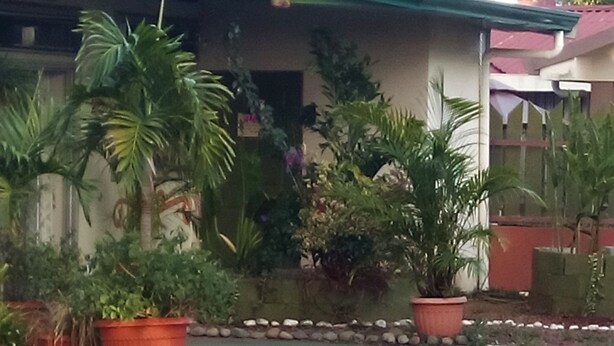 Un bâtiment doté d’un toit végétalisé, entouré de plantes en pot et d’une zone pavée.