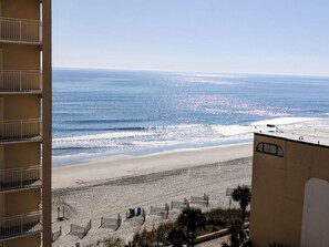 On the beach - Sea Mist 50907 (Myrtle Beach)