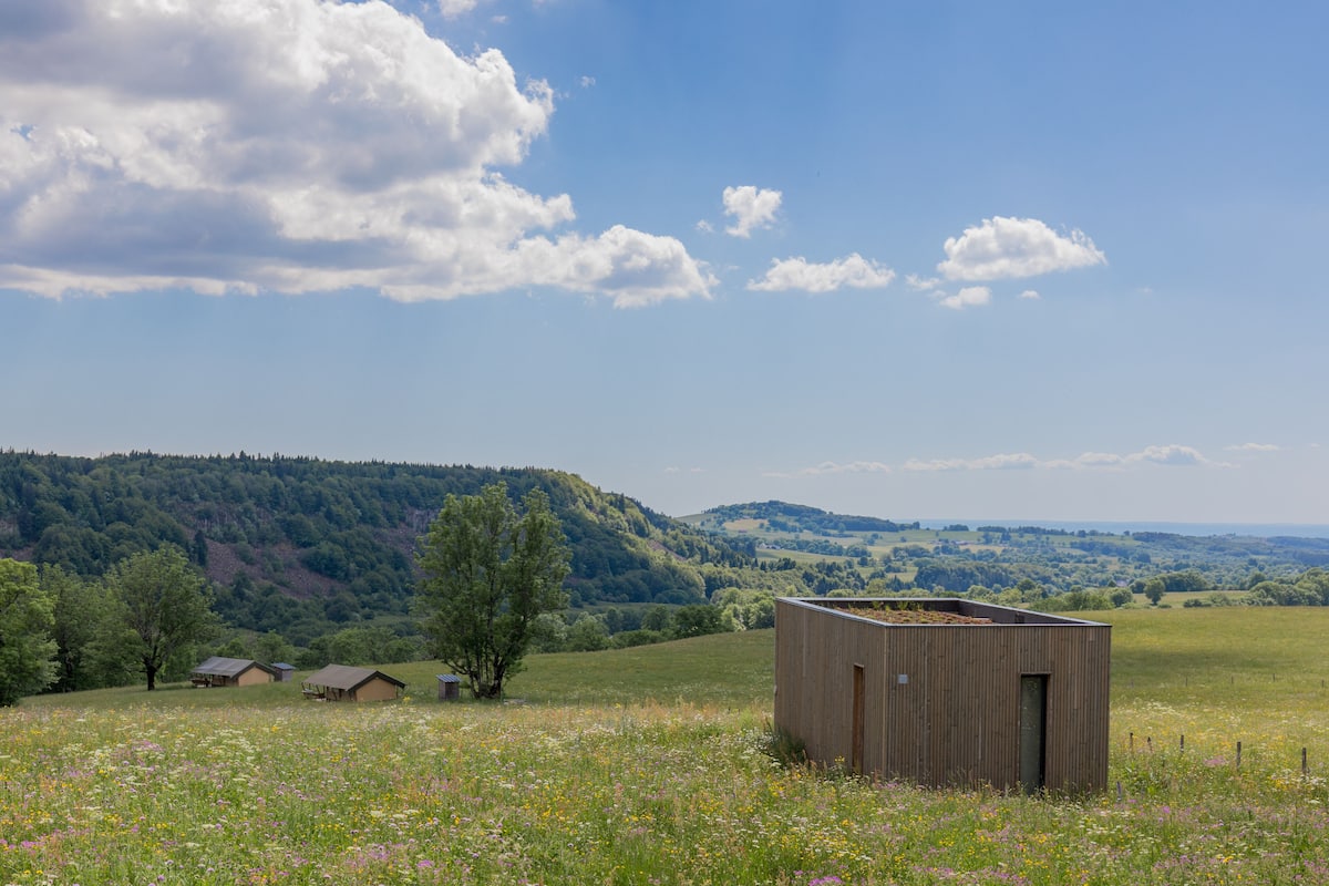 Une cabane en bois se dresse dans un champ verdoyant, avec une colline boisée en arrière-plan.