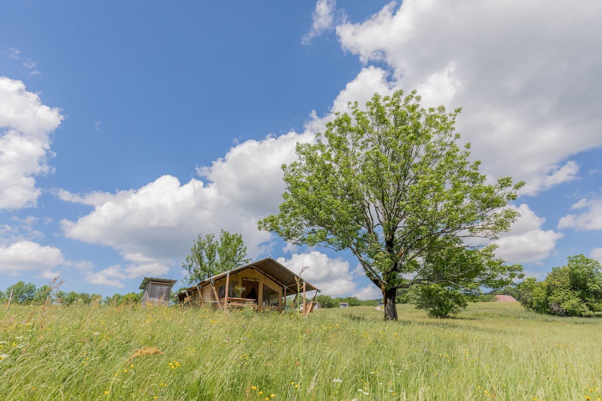 Une cabane en bois rustique, située dans un champ verdoyant sous un ciel dégagé.