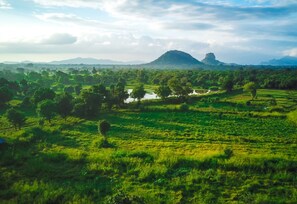 Mountain view - Sigiri Forest Kingdom (Avudangawa)