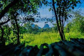 Vista para a montanha