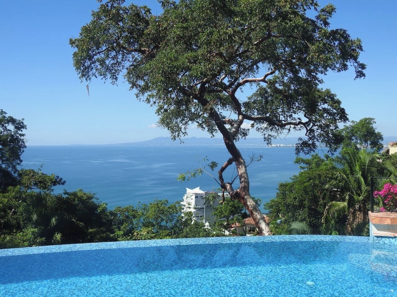 Piscine chauffée