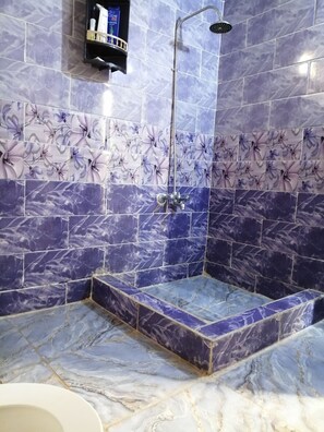 Shower, free toiletries, bidet, towels