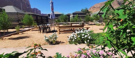 Tente, 2 lits jumeaux (Twin) | Terrasse/patio