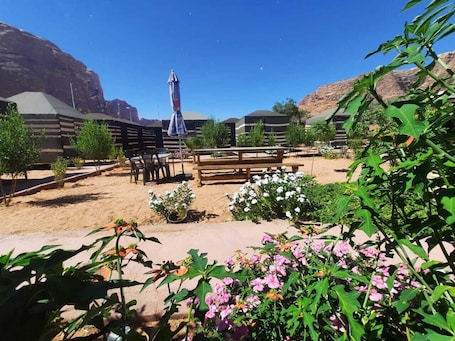 Tent, 2 Twin Beds (Twin) | Terrace/patio