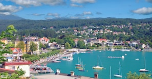 A coastal town with a marina filled with boats, surrounded by residential buildings and lush greenery.