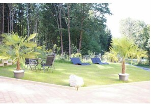 Un espace jardin comprenant une pelouse, deux palmiers et deux chaises longues.