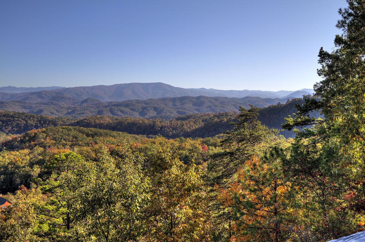 Un paysage montagneux avec une forêt dense et un ciel dégagé.