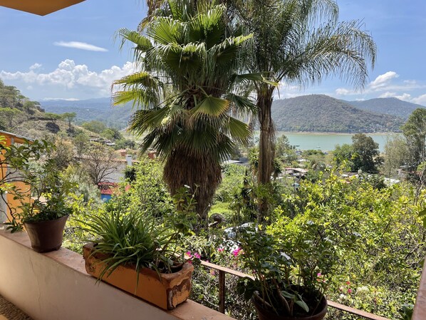 Junior Double Room | Terrace/patio
