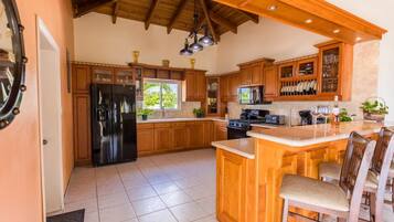 Exclusive Villa | Private kitchen | Fridge, microwave, oven, stovetop