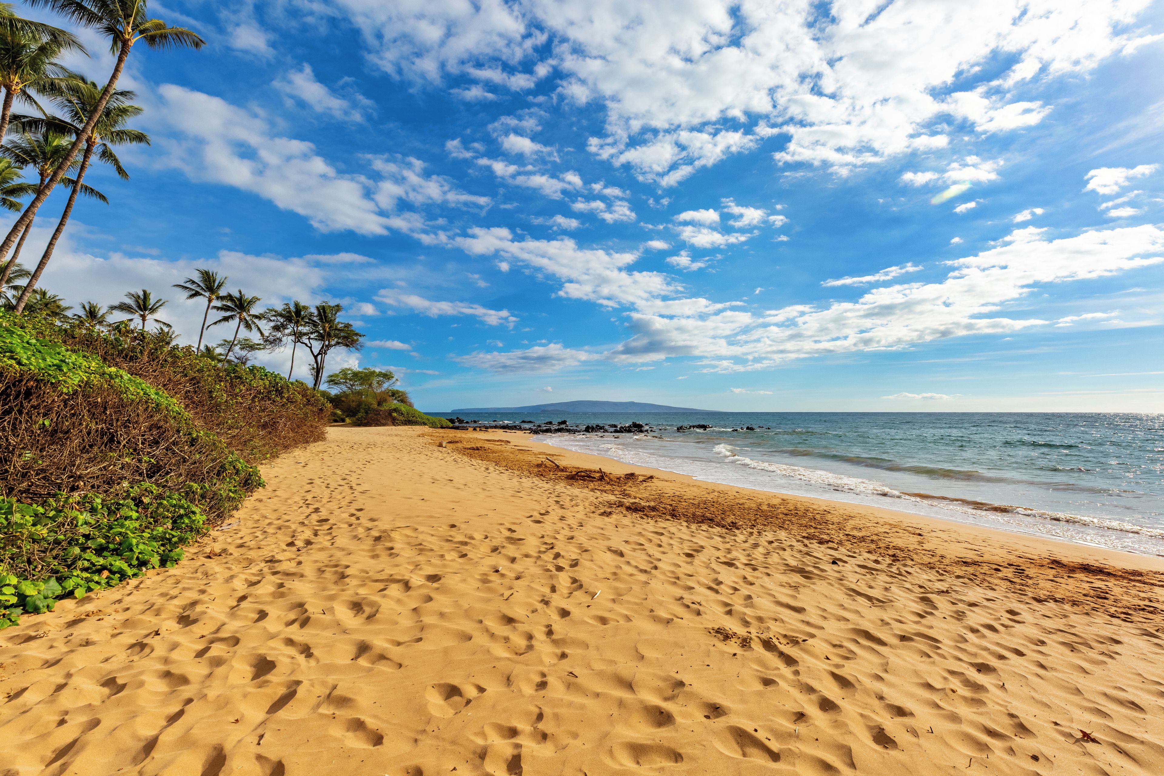 A sandy beach with footprints, palm trees, and a clear sky.
