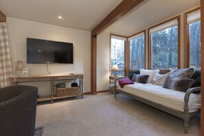 TV, fireplace, DVD player