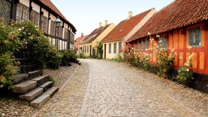 En kullerstensgata kantad av traditionella hus med korsvirkesfasader, varav några har synliga blomlådor och trappsteg som leder upp till entrén.