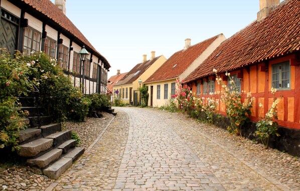 A cobblestone street lined with traditional half-timbered houses, some with visible flower boxes and steps leading to the entrance.