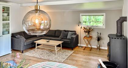 3 bedroom pet friendly home in Brovst