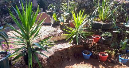 3-bedroom Baguio house, affordable and near to tourist spots