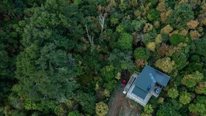 Vista aérea de una casa rodeada de un bosque denso.