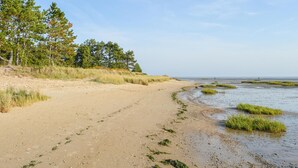 A sandy beach with grassy dunes and trees. - Cozy home in Rømø with sauna (Rømø)