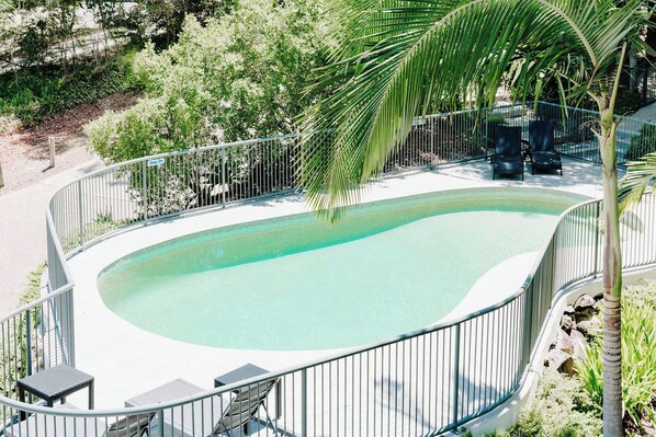 A swimming pool with a curved edge, surrounded by a metal fence, and a palm tree in the background. - Mavis - Little Cove (Noosa Heads)
