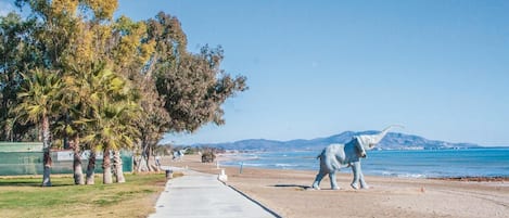 Playa en los alrededores