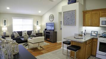 Smart TV, fireplace, books