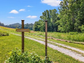 Property grounds - Heavenly Hideaway - near Red River Gorge, KY (Beattyville)