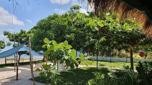 Un jardín con árboles, una estructura de techo de paja y un sendero de arena.