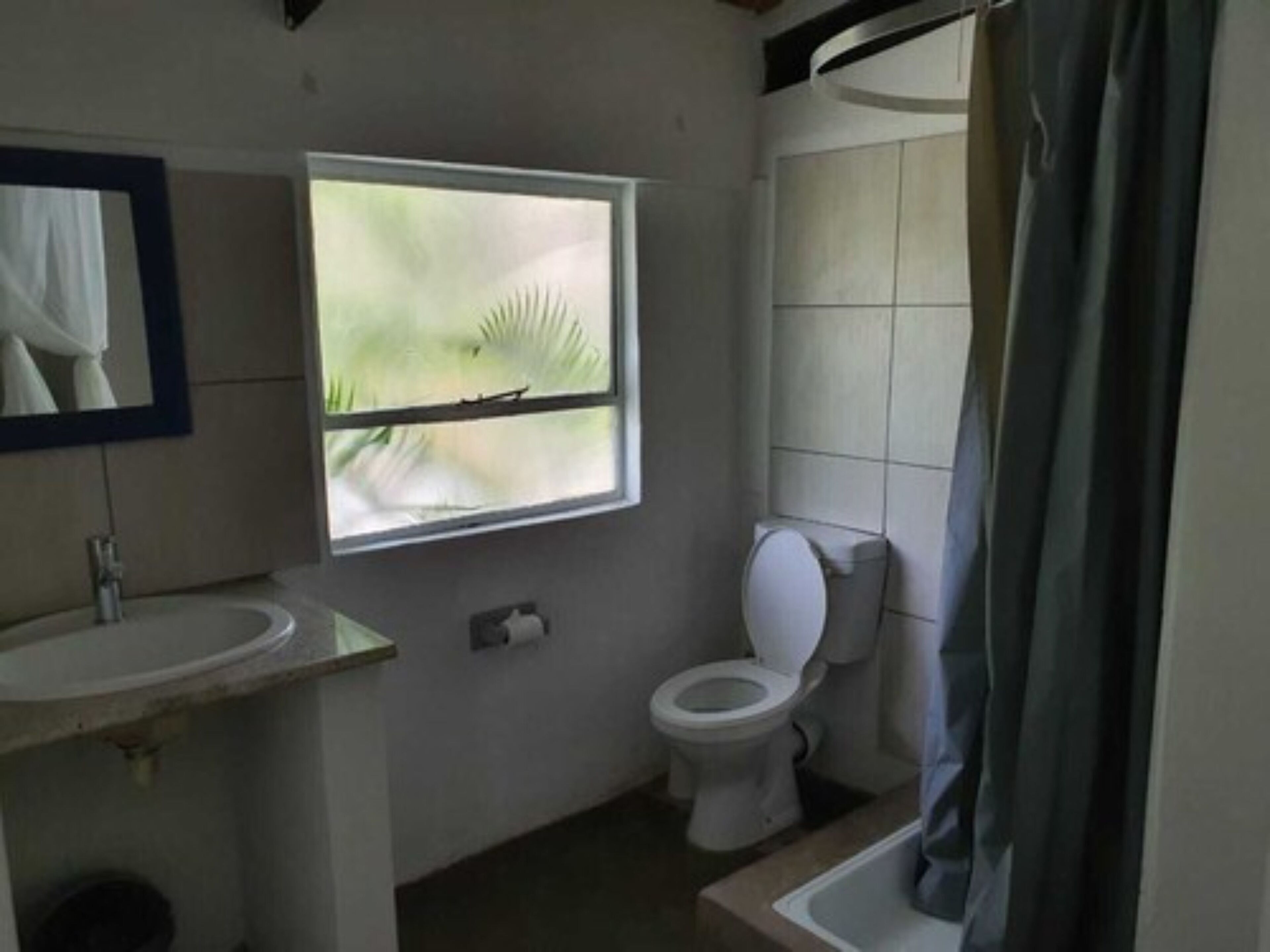 Bagno con lavandino, WC e finestra vista palme.