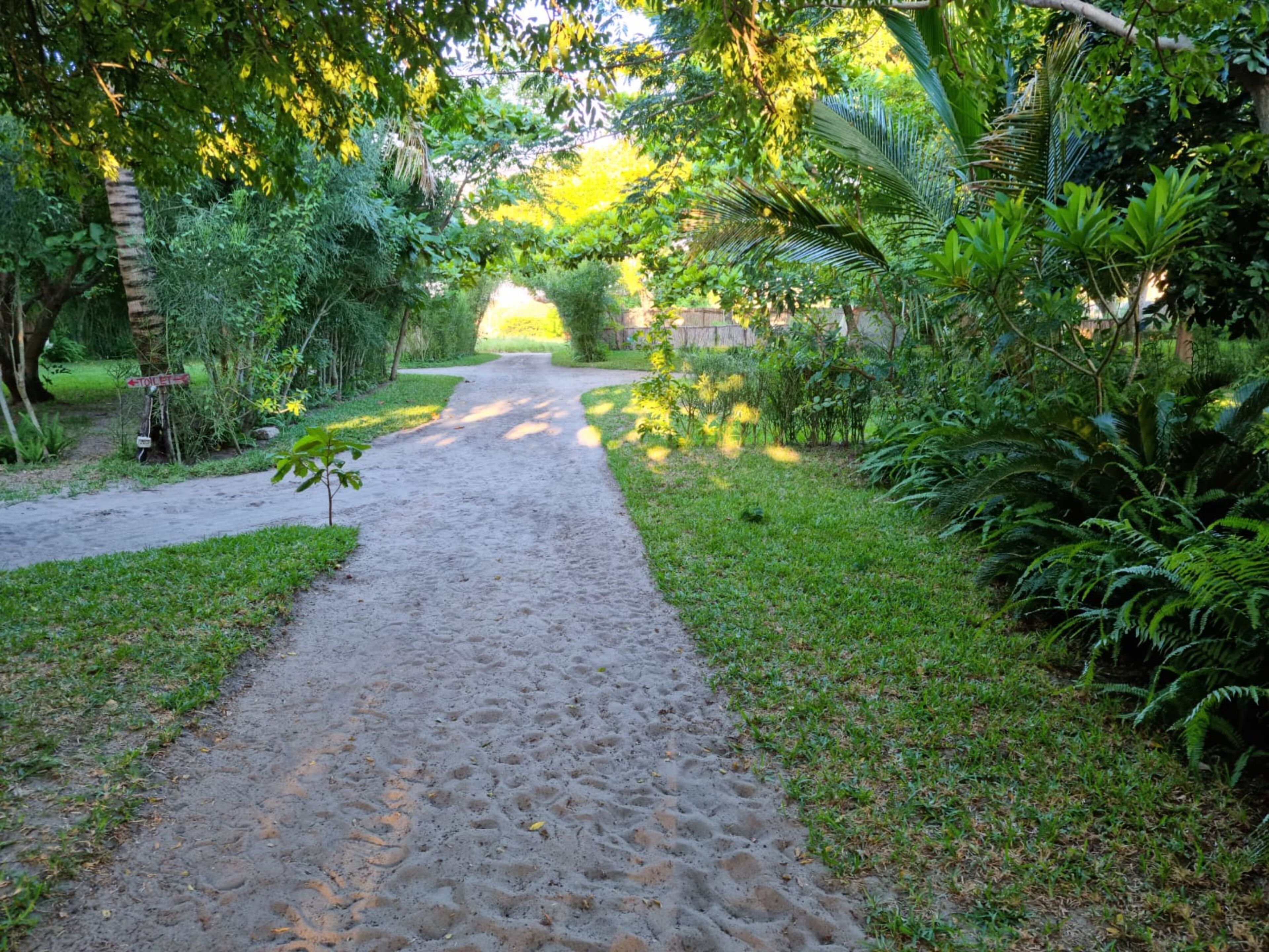 庭園
