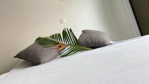 熨斗/熨衣板、WiFi