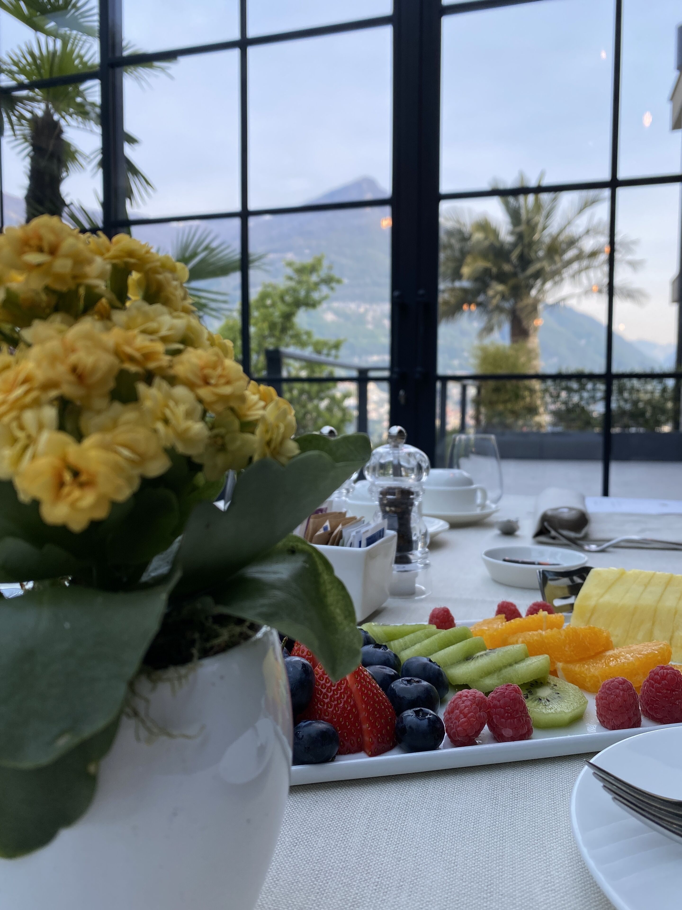 Une table avec un plateau de fruits, une plante en pot et une vue sur une montagne, visible à travers de grandes fenêtres.