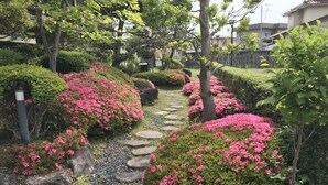 Un sendero de jardín con piedras, rodeado de vegetación exuberante y arbustos de flores rosadas.
