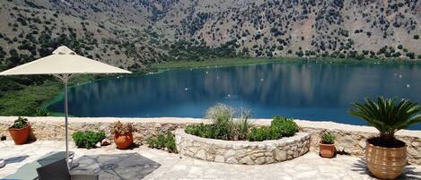 テラス / パティオ