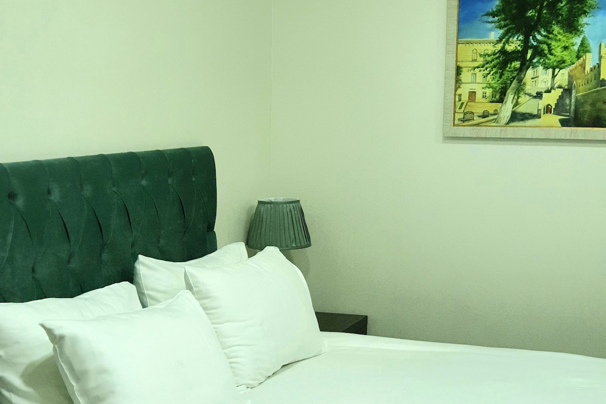 Basic Double or Twin Room | Minibar, desk, cribs (free), WiFi (free)