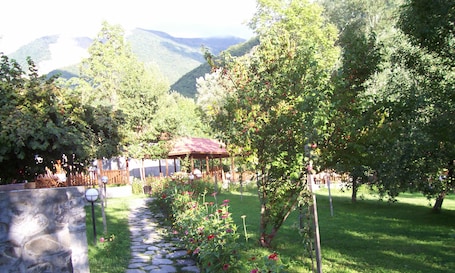 Standard Cottage | View from room