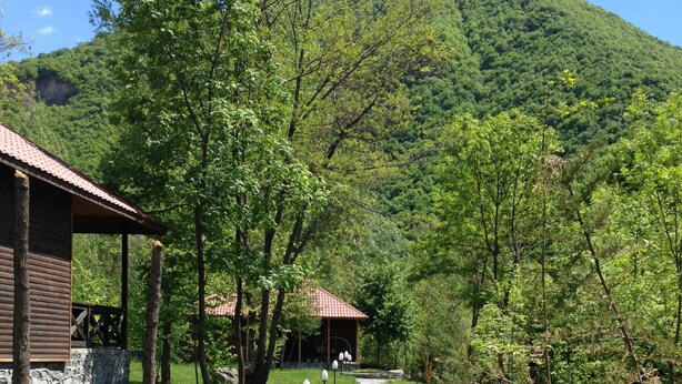A gravel path leading to a wooden building with a tiled roof, surrounded by lush greenery and a mountain in the background.
