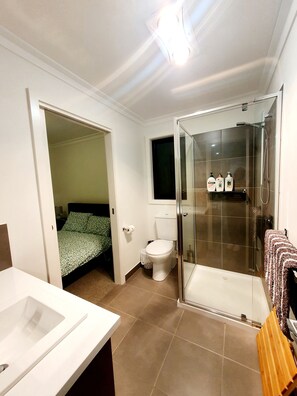Combined shower/bathtub, hair dryer, towels, soap
