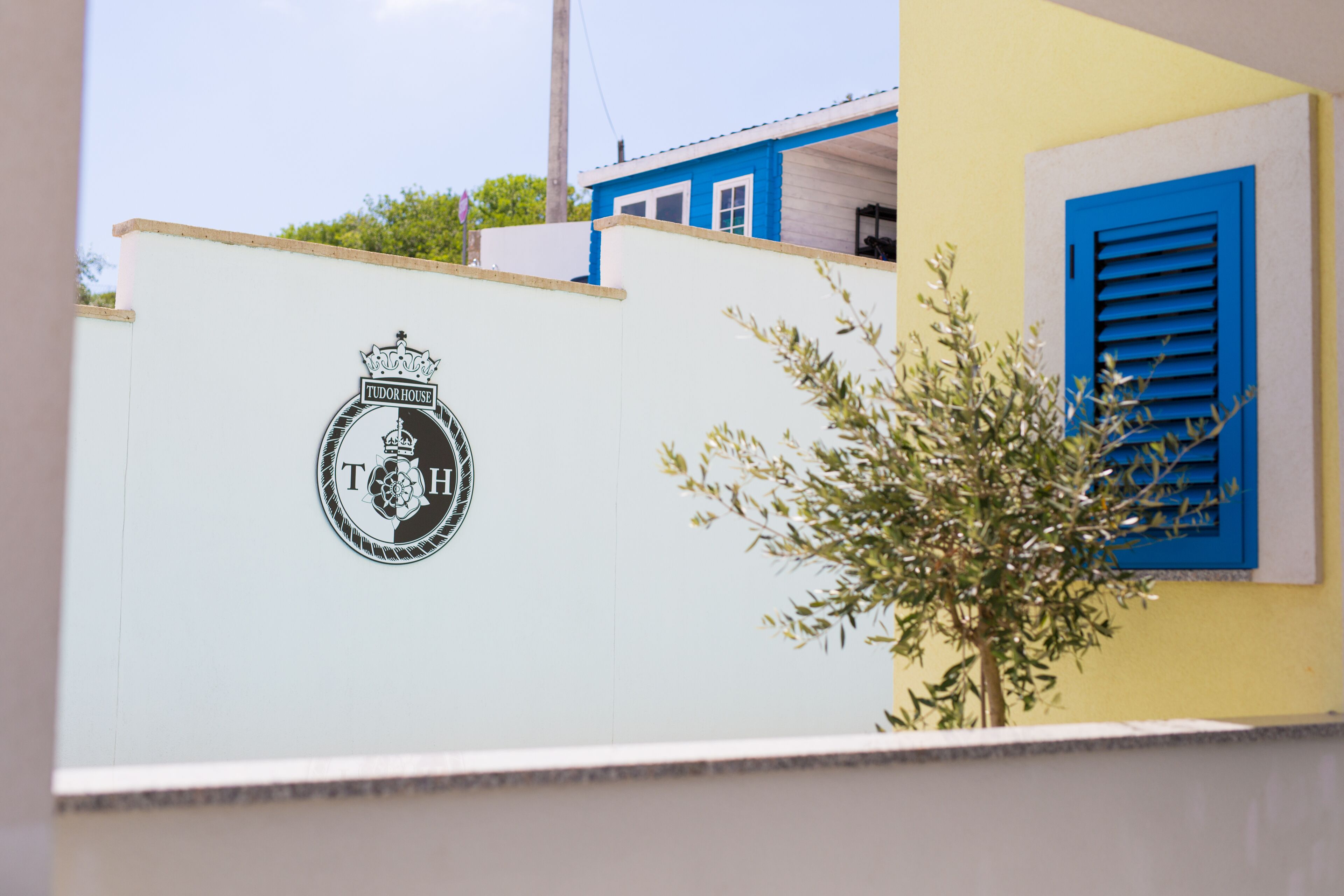 Pared con un logotipo y un árbol.