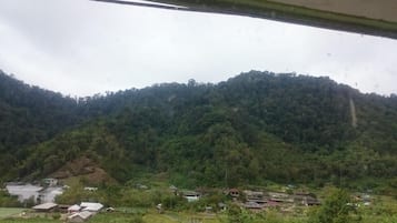 Halaman properti
