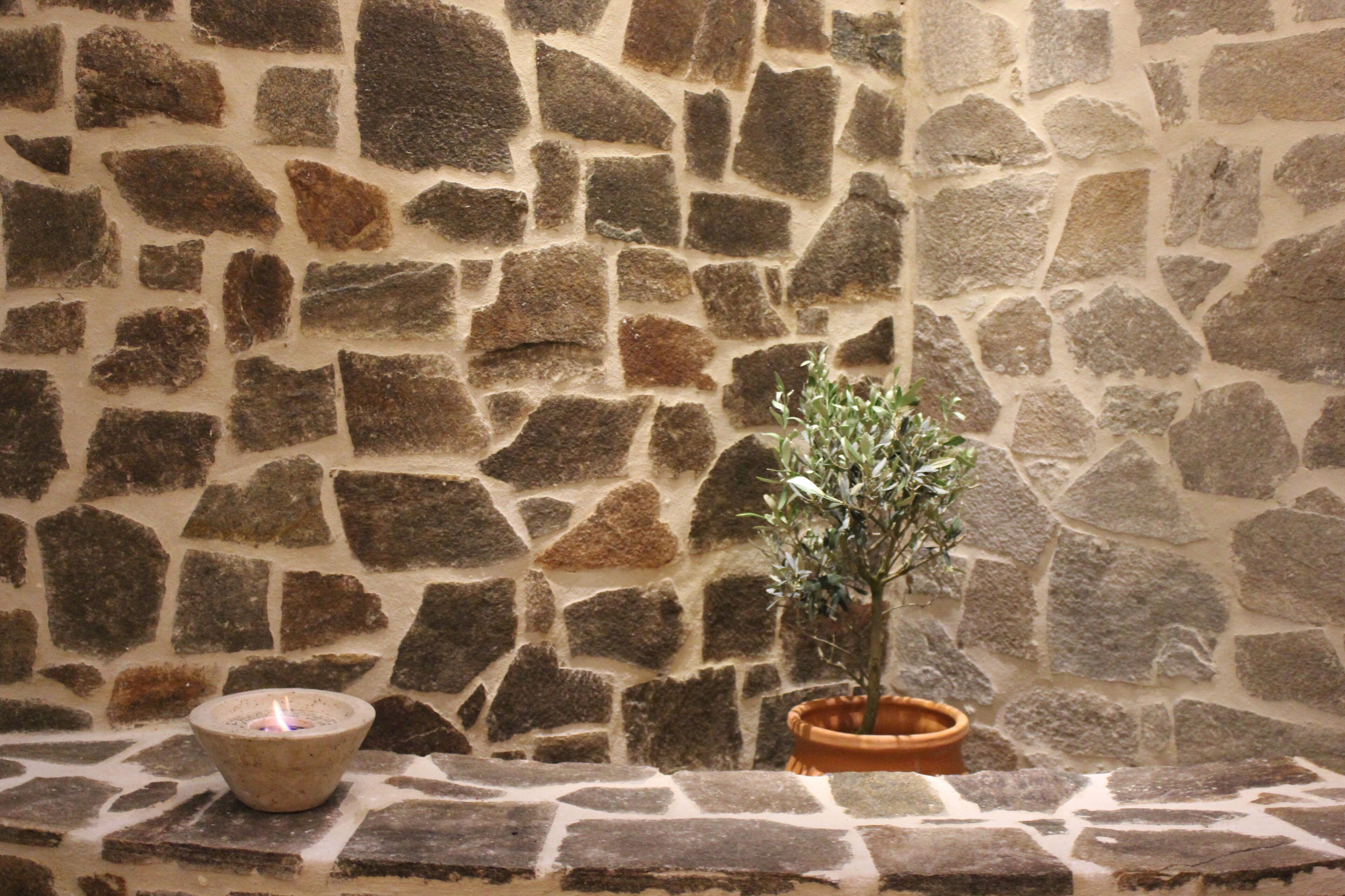 A stone wall with a potted plant and a candle on a ledge.