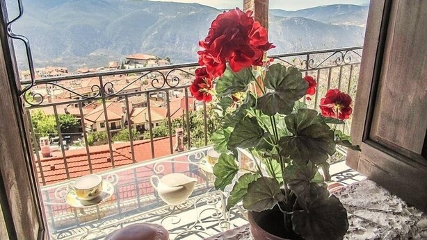 A balcony with a potted plant and a table with cups and saucers. - Traditional Charming Stone Chalet (Distomo-Arachova-Antikyra)