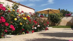 A garden with a variety of colorful roses and a beige umbrella. - 30 sqm studio apartment - Kitchenette with living area, sleeping area, bathroom  (Miglianico)