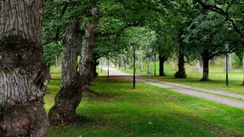 Um parque com um caminho pavimentado, árvores e uma área gramada.