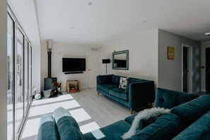 TV, fireplace, video games