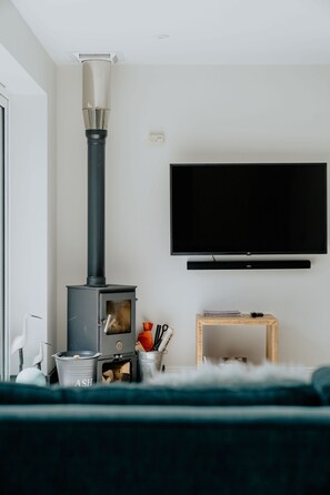 TV, fireplace